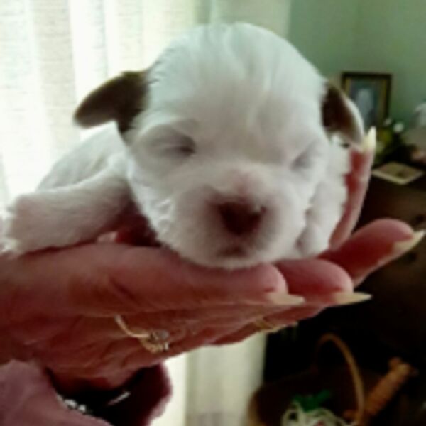 IMG 1422 jpg Thumbnail