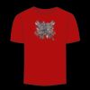 Adult Stars & Stripes T-Shirt Thumbnail