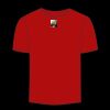 Adult Stars & Stripes T-Shirt Thumbnail
